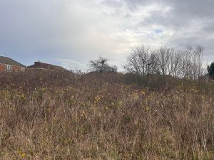 Impossible Terrain Made Possible